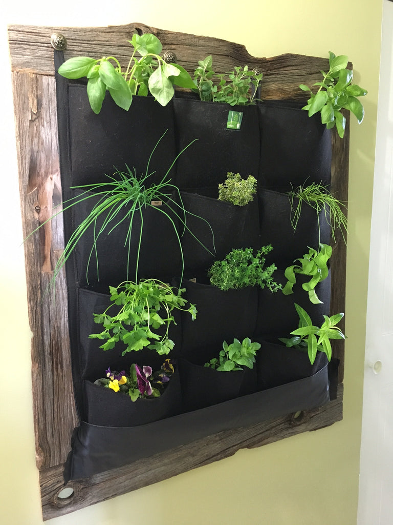 12 Pocket Indoor Waterproof Vertical Living Wall Planter