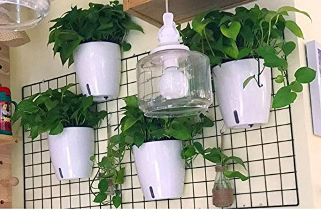 5 Pack  Self Watering Hanging Planters,Wall Mounted  with 5 Hooks