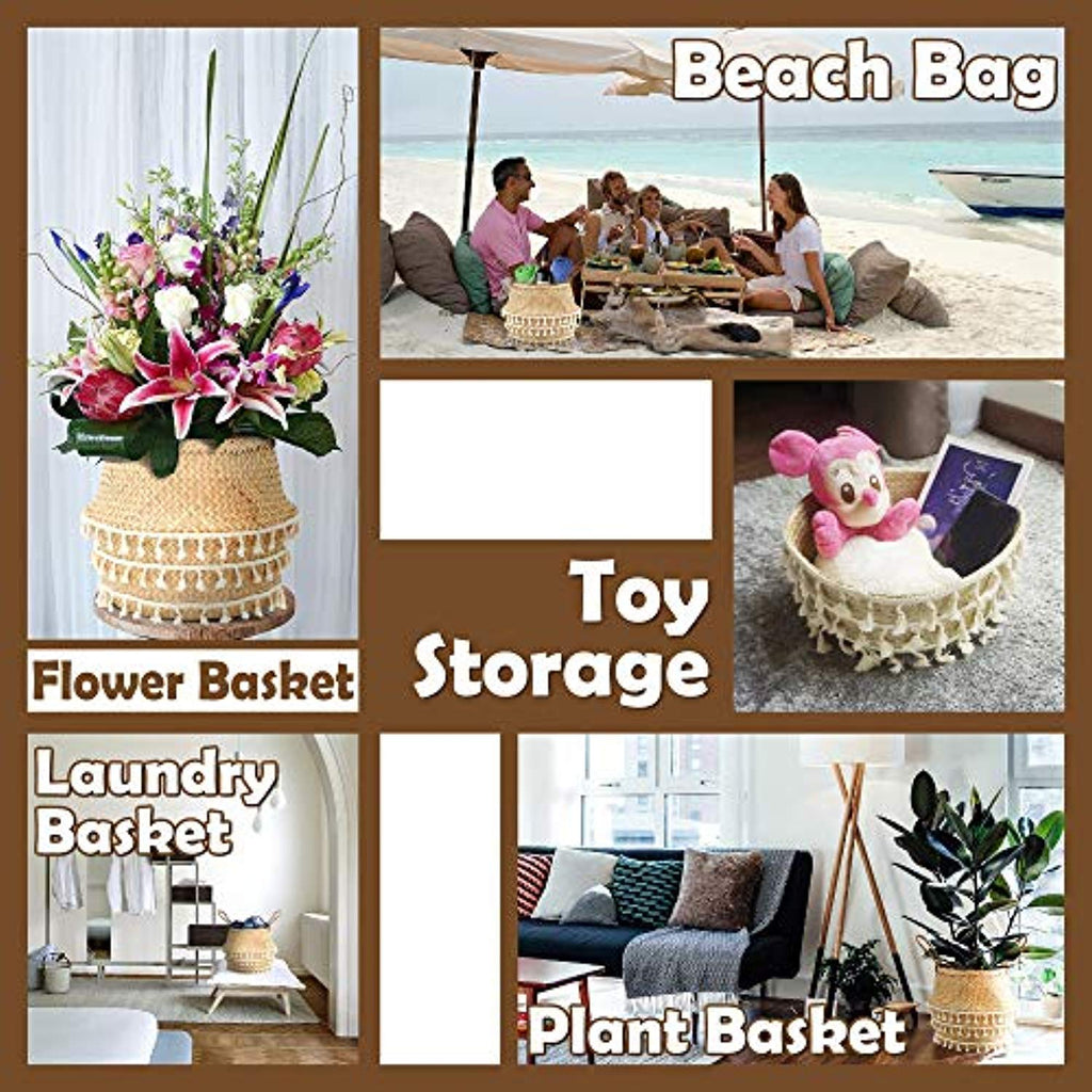 Natural & Net Woven Seagrass Belly Plant Basket with Handles--2 Sizes