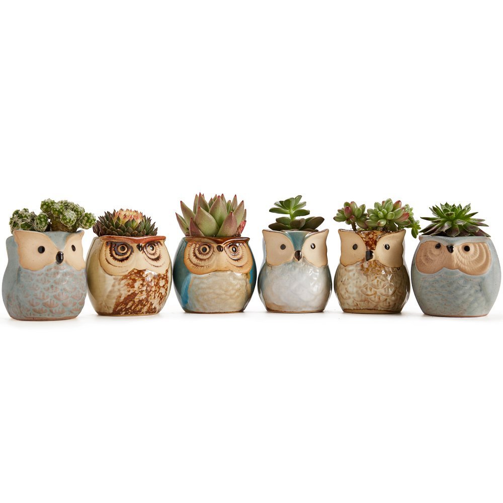 Set 2.5 Inch Owl  Ceramic Pots / Set of 6