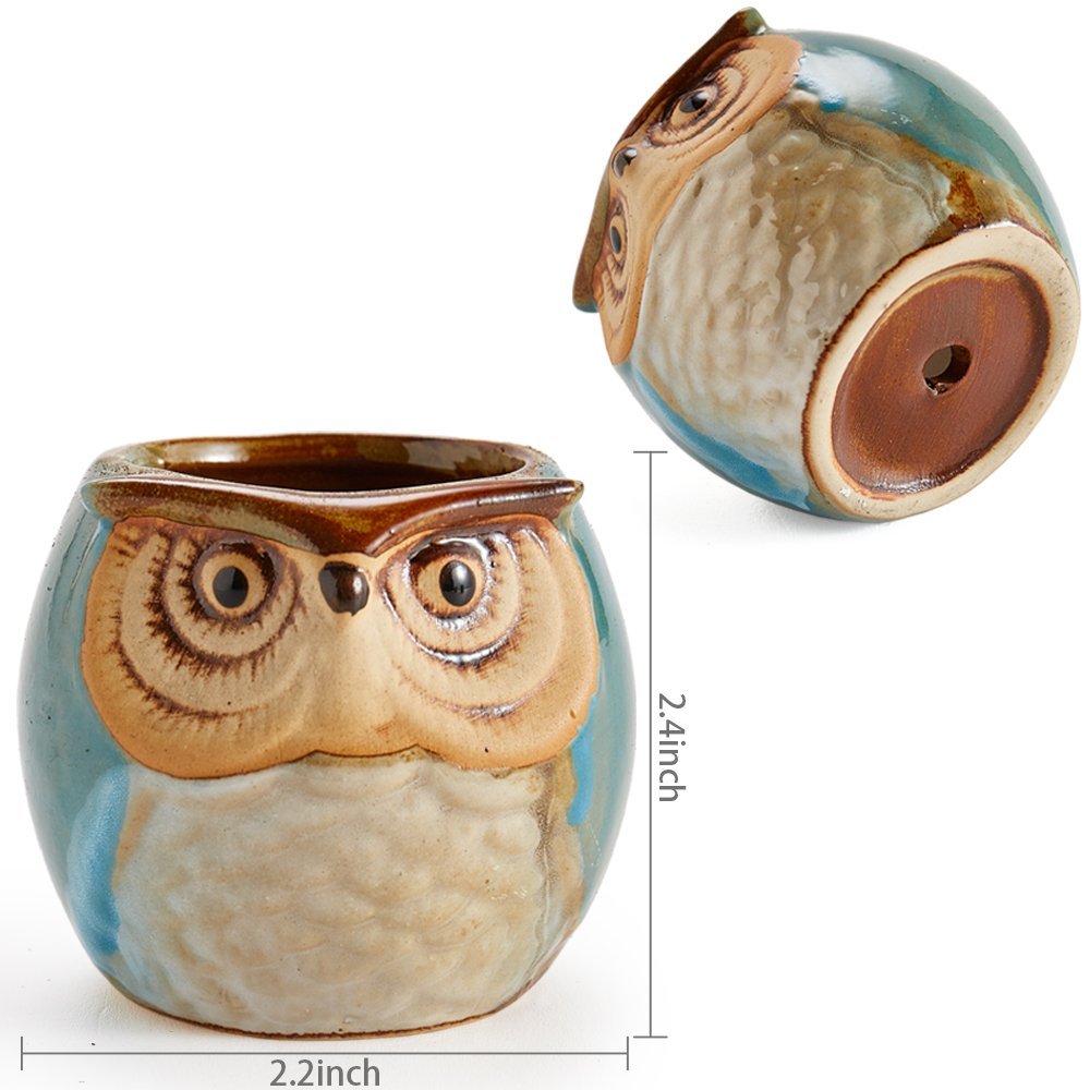 Set 2.5 Inch Owl  Ceramic Pots / Set of 6