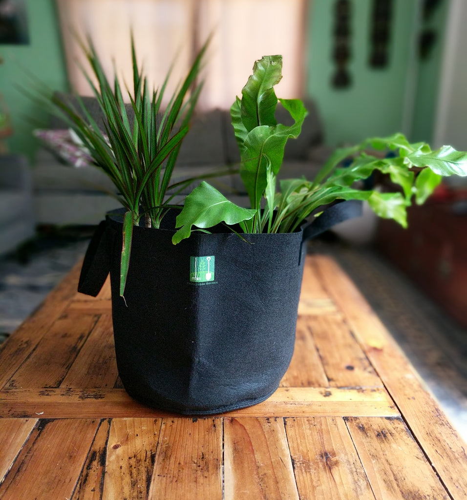 Delectable Garden 5 Gallon Plant Grow Bags, Non-Woven Aeration Fabric