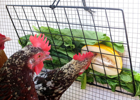 Peck-It-Clean Veggie Feeder for Chickens, 10" x 16"