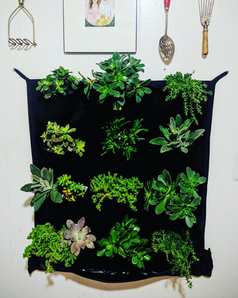 12 Pocket Indoor Waterproof Vertical Living Wall Planter